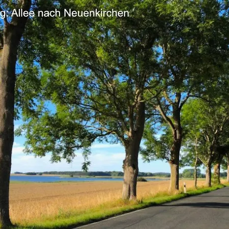 Im Idyllischsten Winkel Ruegens By Interhome *