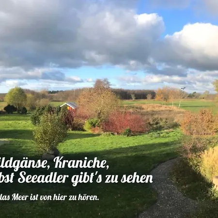 Im Idyllischsten Winkel Ruegens By Interhome