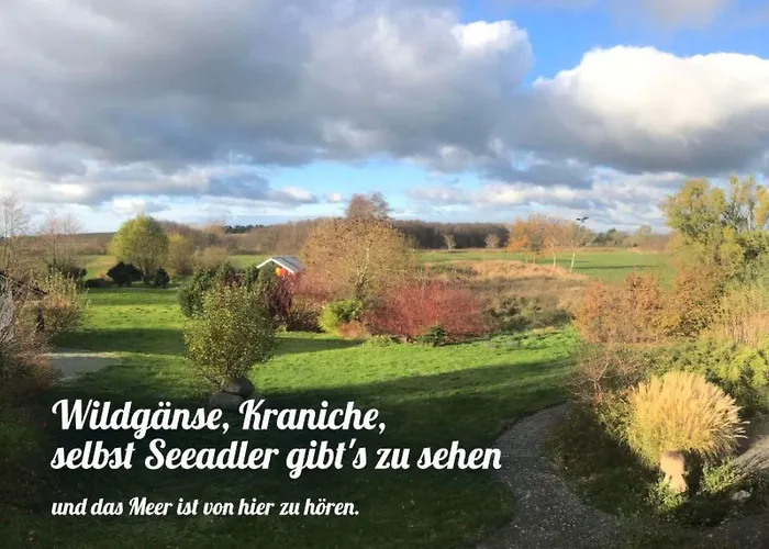 Im Idyllischsten Winkel Ruegens By Interhome